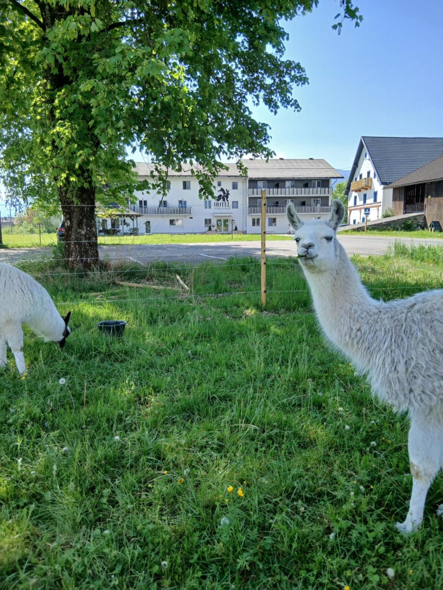 Hotel Fuchs & Hase Self Check In Rosegg Zewnętrze zdjęcie